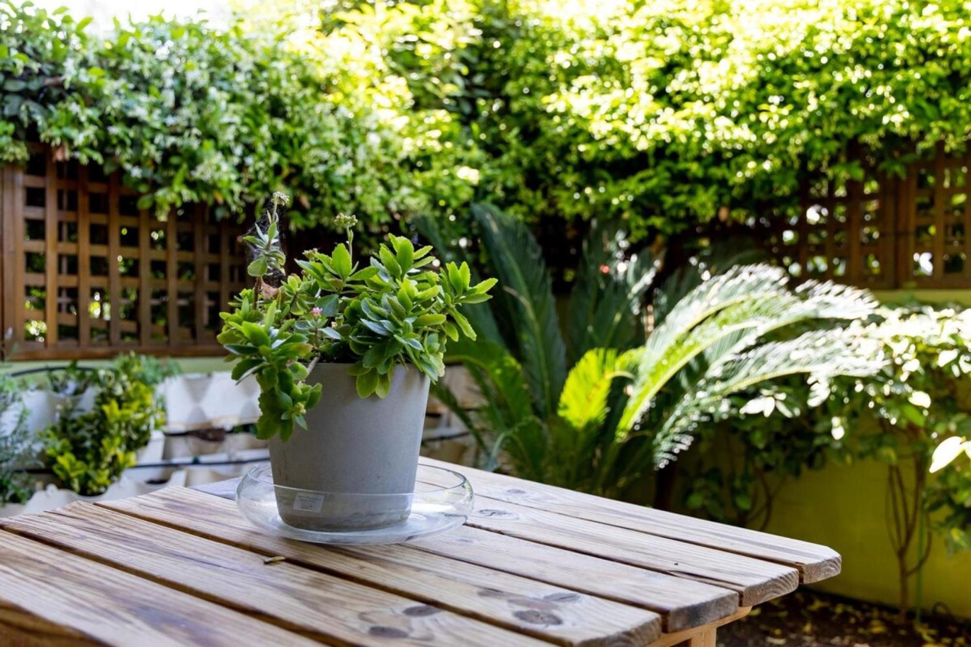 Apartamento The Garden House At Alimos Atenas Exterior foto